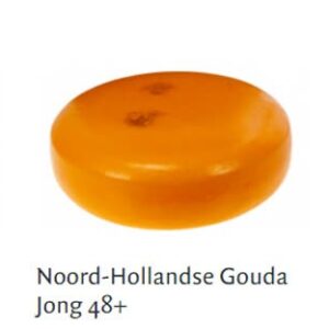 Noord-Hollands jong