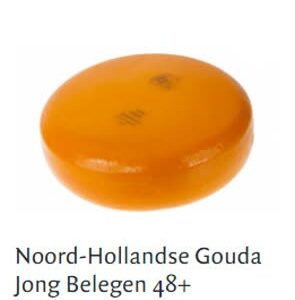 Noord-Hollands jong belegen