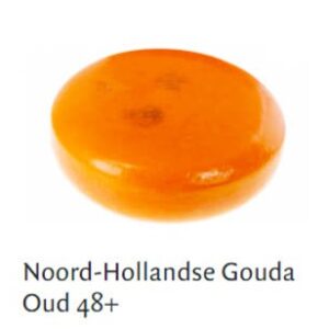 Noord-Hollands oud