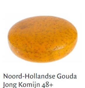 Noord-Hollands jonge komijn