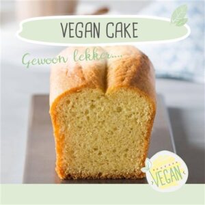 Ireks vegan cakemix 12,5 kg. (B)