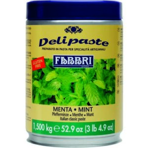 Fabbri ijspasta munt 1,5 kg.