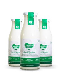 Ambachtshoeve volle yoghurt 500 ml. (B)