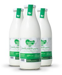 Ambachtshoeve volle yoghurt 1 ltr. (B)