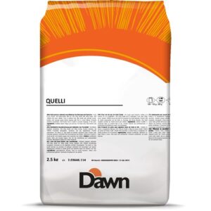 Dawn Quelli 2.5 kg